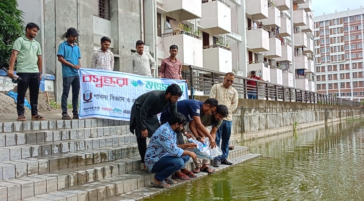 বসুন্ধরা শুভসংঘের উদ্যোগে পাবিপ্রবির লেকে ছাড়া হলো মাছের পোনা 